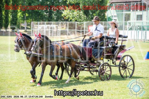 Mintakép 20260627-1396
