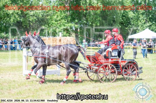 Mintakép 20260613-453