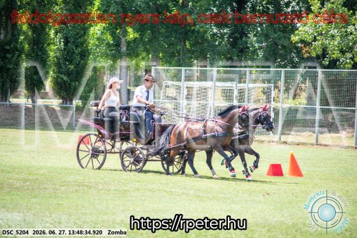 Mintakép 20260627-1399