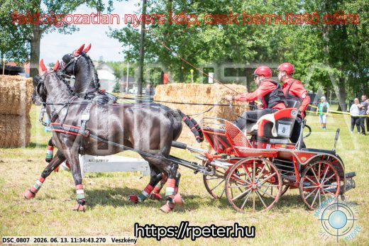 Mintakép 20260613-454