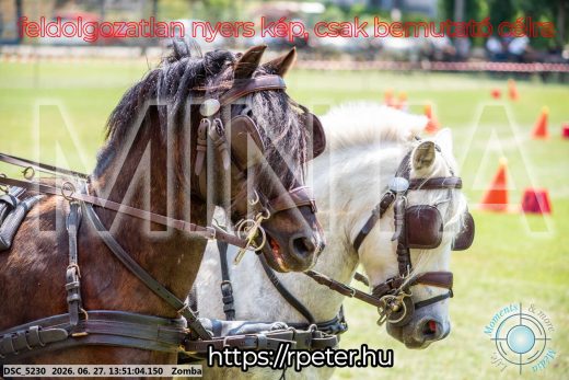 Mintakép 20260627-1417