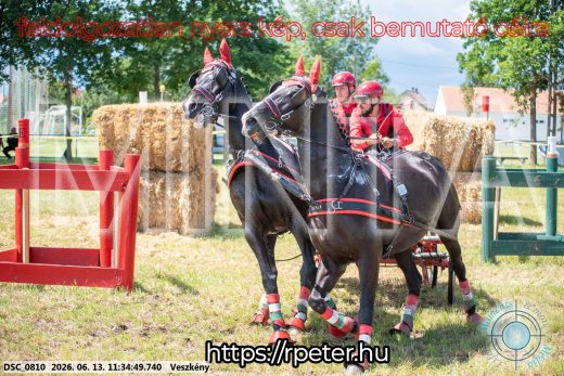 Mintakép 20260613-458