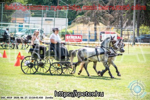20260627-131843-DSC_4919.jpg