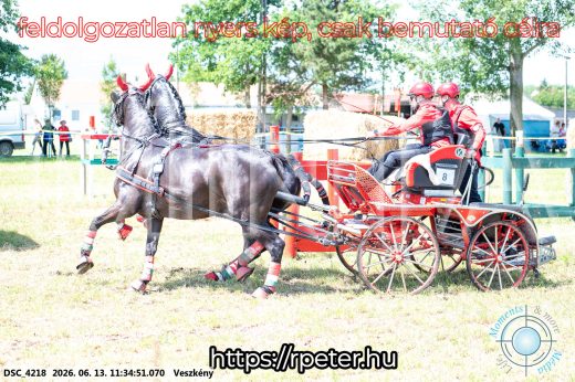 Mintakép 20260613-460