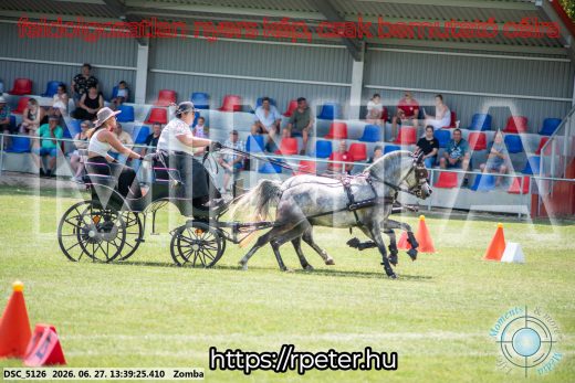 Mintakép 20260627-1471