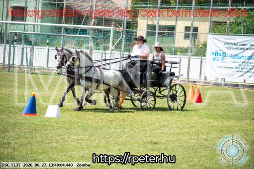 Mintakép 20260627-1474