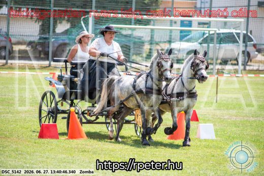 Mintakép 20260627-1477
