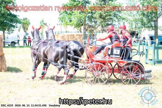 Mintakép 20260613-461