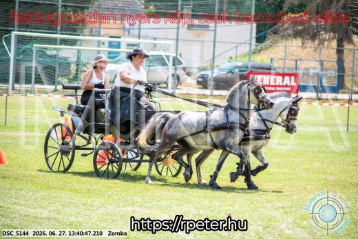 Mintakép 20260627-1479