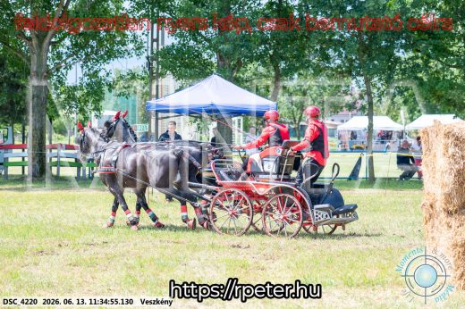 Mintakép 20260613-462