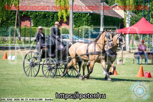 Mintakép 20260627-1494