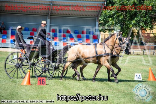 Mintakép 20260627-1495