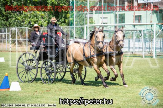 Mintakép 20260627-1497