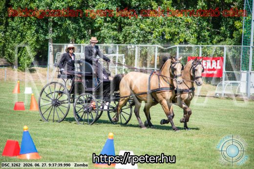 Mintakép 20260627-1504