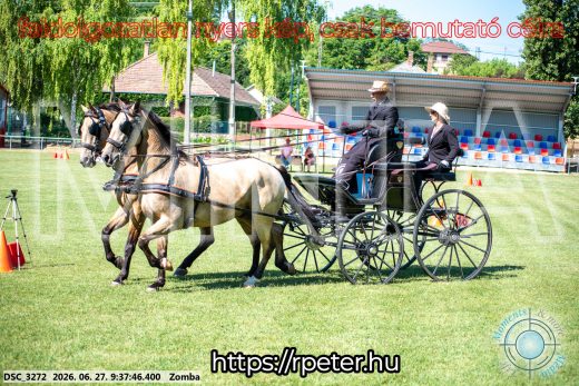 Mintakép 20260627-1507