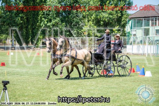 Mintakép 20260627-1528