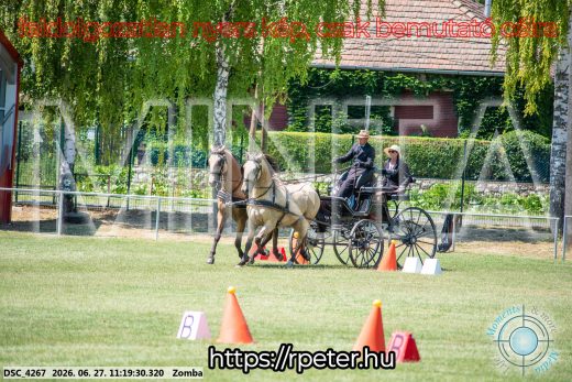 Mintakép 20260627-1529