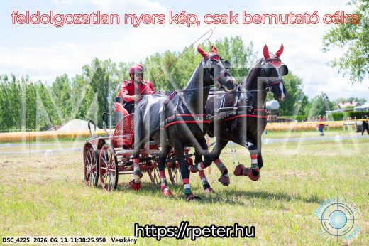 Mintakép 20260613-467