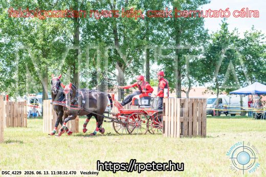Mintakép 20260613-469