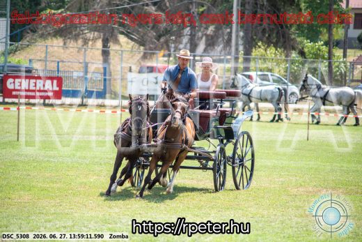 Mintakép 20260627-1560