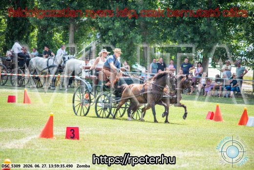 Mintakép 20260627-1561