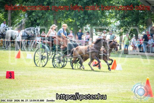 Mintakép 20260627-1562