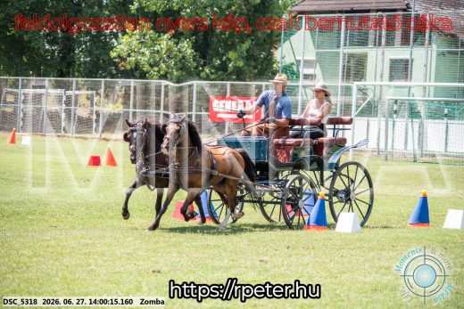 Mintakép 20260627-1564