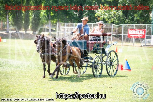 Mintakép 20260627-1565