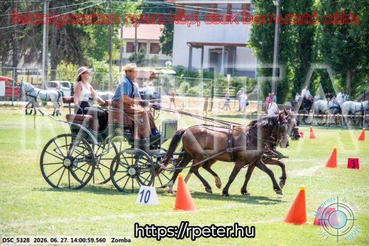 Mintakép 20260627-1567