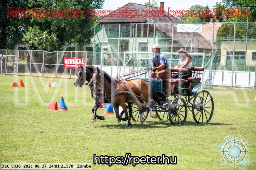 Mintakép 20260627-1570