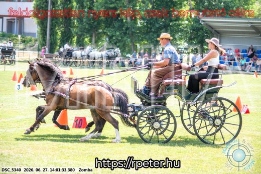 Mintakép 20260627-1573