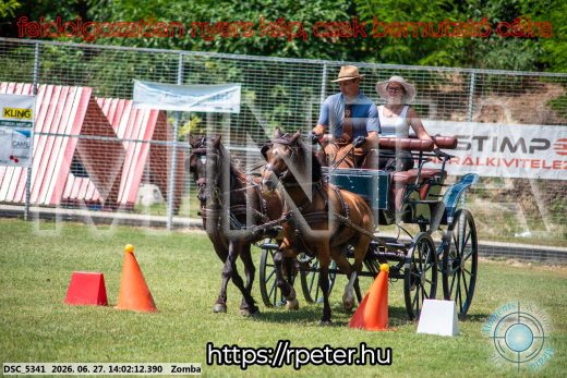 Mintakép 20260627-1574