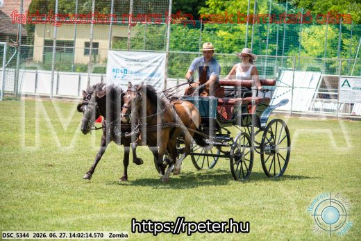 Mintakép 20260627-1577