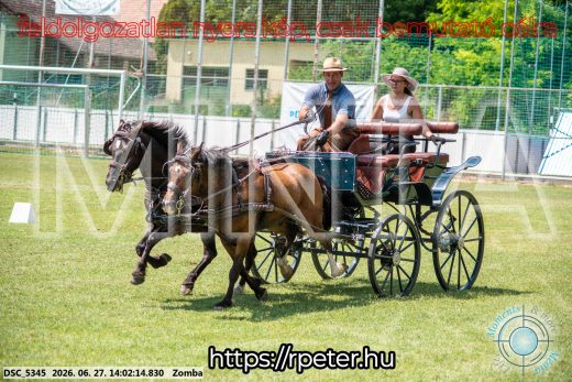Mintakép 20260627-1578