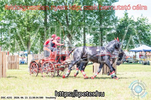 Mintakép 20260613-471