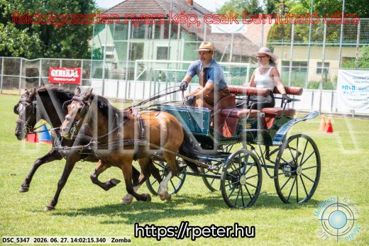 Mintakép 20260627-1580