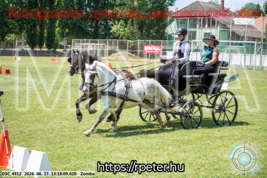 20260627-131809-DSC_4912.jpg