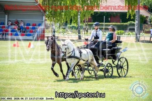 Mintakép 20260627-1593
