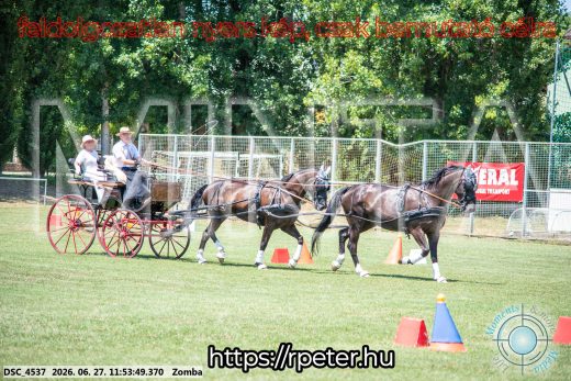 Mintakép 20260627-1619