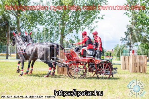 Mintakép 20260613-476