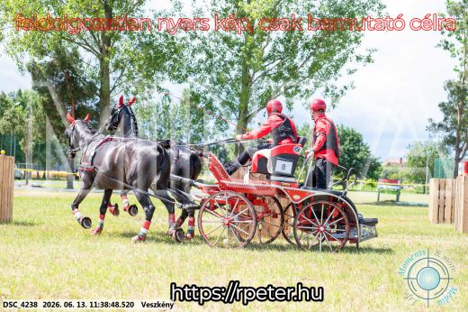 Mintakép 20260613-477