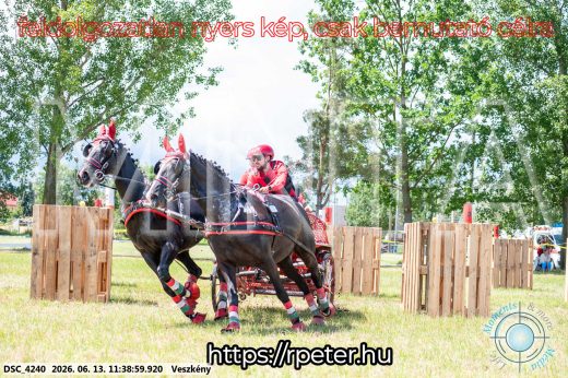 Mintakép 20260613-479