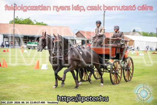 Mintakép 20260614-112