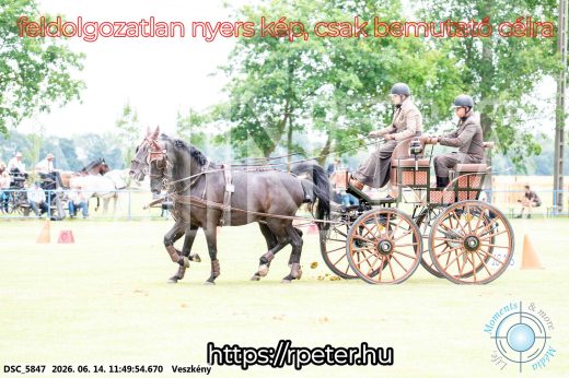 Mintakép 20260614-114