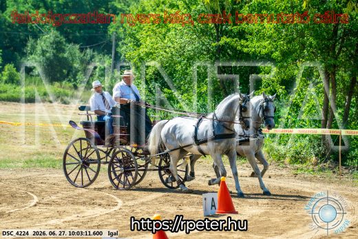 Mintakép 20260627-1644