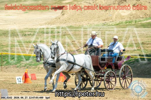 Mintakép 20260627-1649