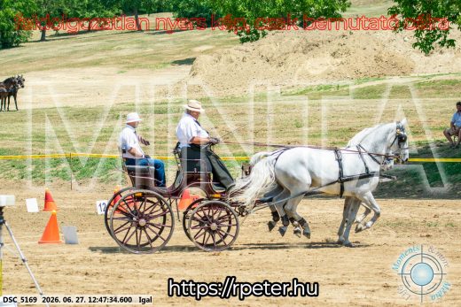 Mintakép 20260627-1651