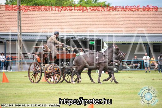 Mintakép 20260614-117