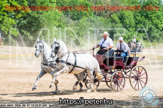 Mintakép 20260627-1661