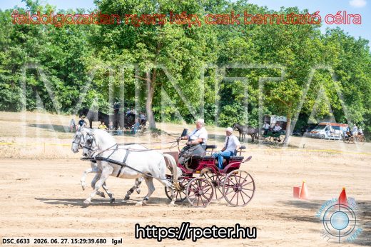 Mintakép 20260627-1662